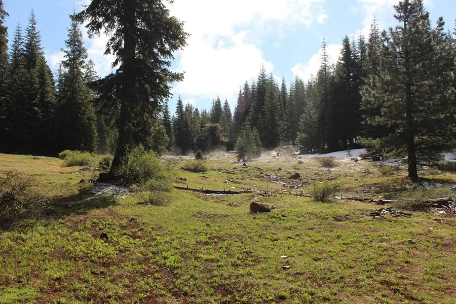 0 Keno Access Road - 482, Klamath Falls, OR 97621 - #3