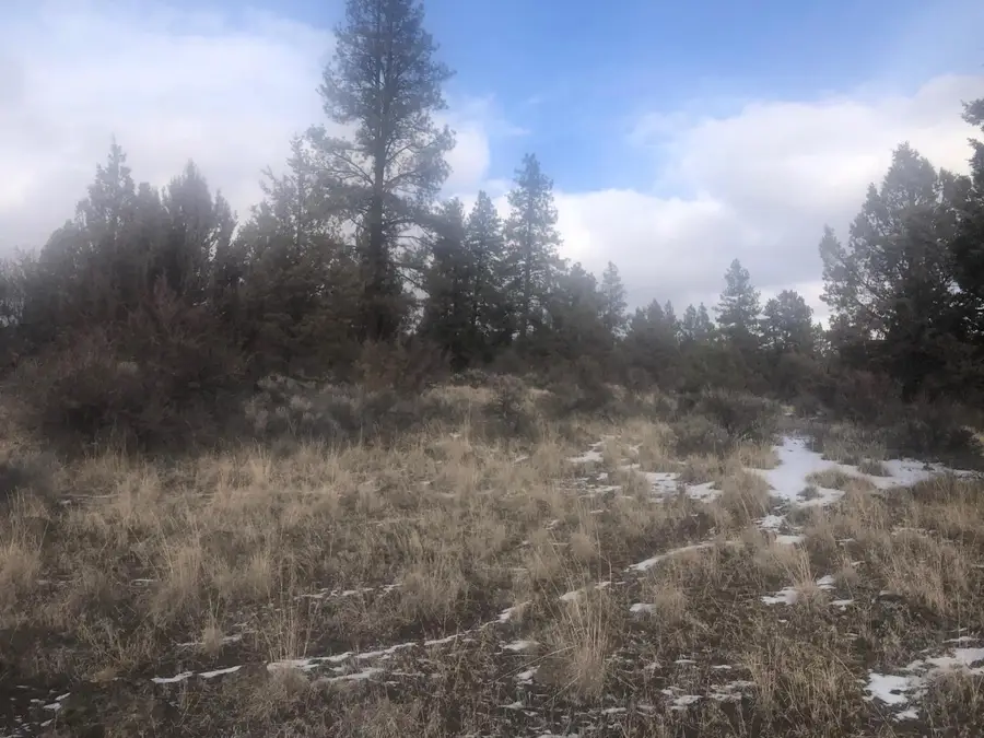 Mina Bird, Bonanza, OR 97623 - Image #2