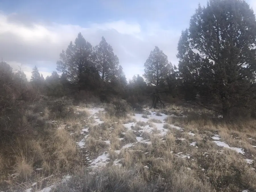 Mina Bird, Bonanza, OR 97623 - Image #3