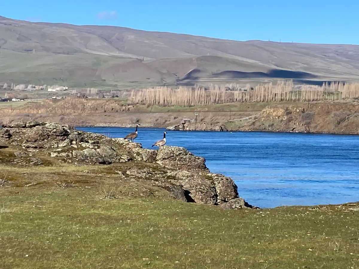 0 River, The Dalles, OR 97058 - Image #1