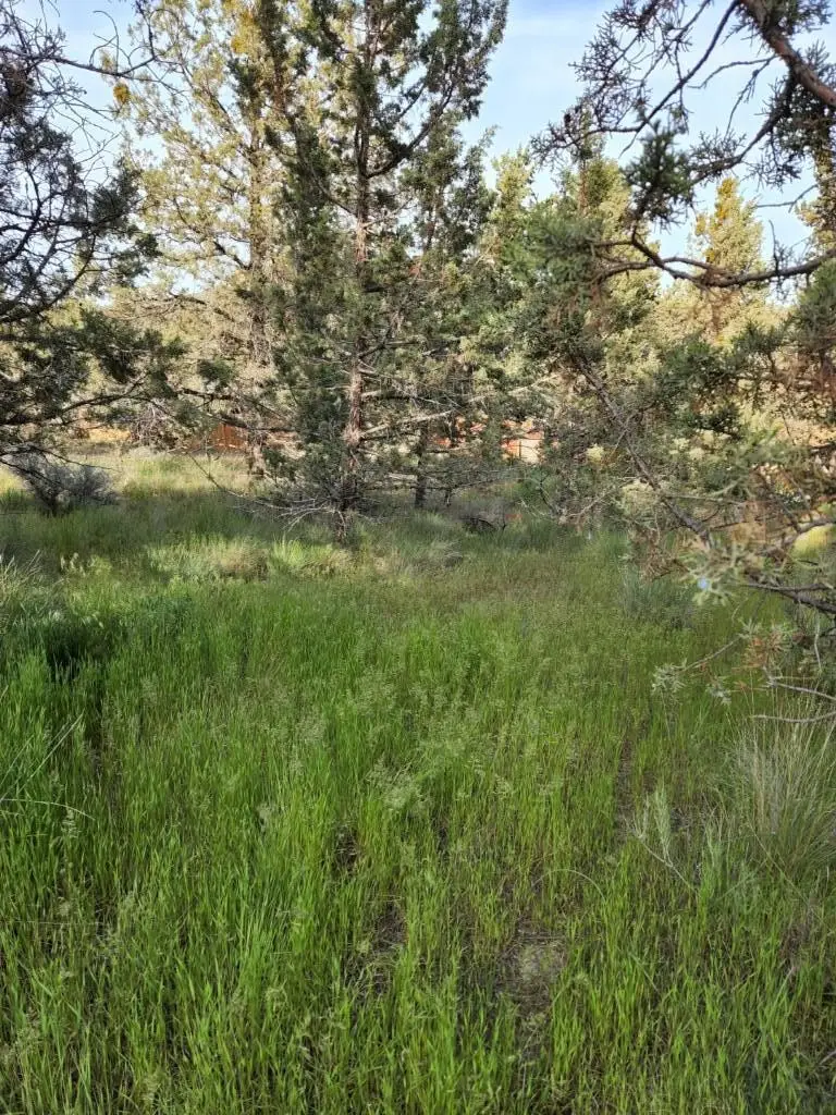 NW Jordan, Prineville, OR 97754 - Image #2