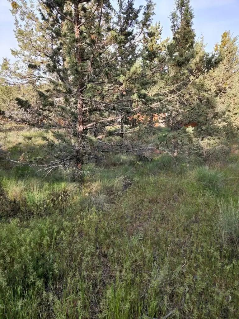 NW Jordan, Prineville, OR 97754 - Image #3