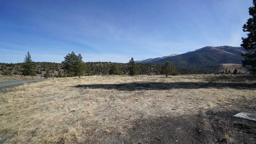 217 Elkview Drive, Canyon City, OR 97820 - Image #2