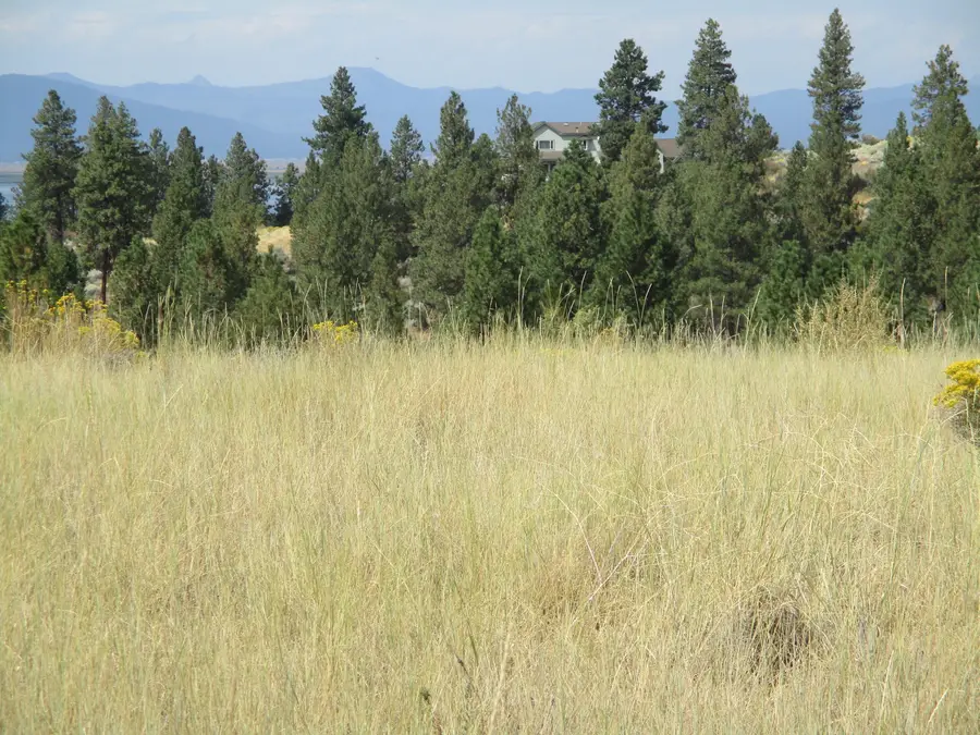 NKA Block 44 Lot 41 Dawn, Chiloquin, OR 97624 - Image #2