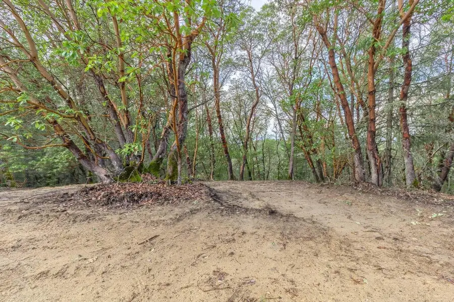 Tina, Grants Pass, OR 97526 - Image #3