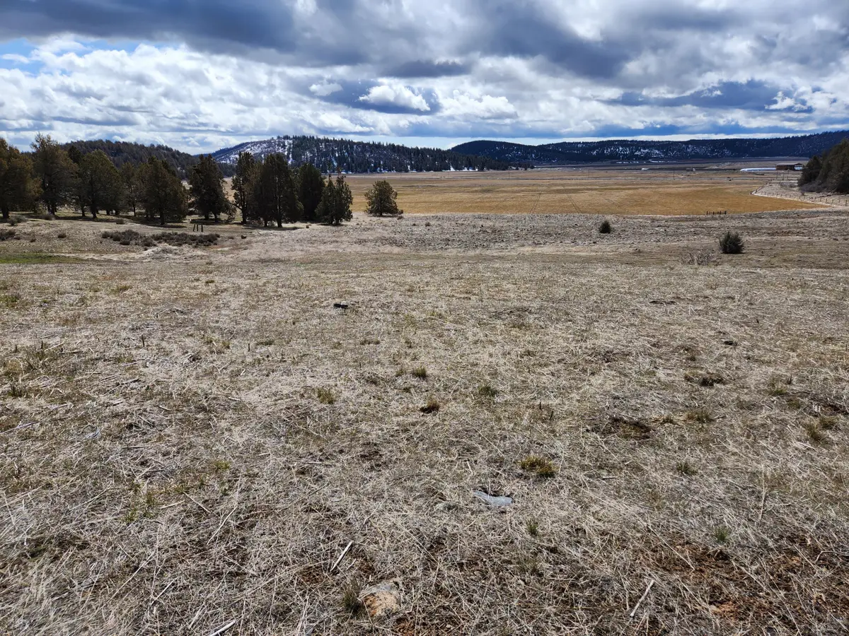 Lot 1134 Murrelet, Klamath Falls, OR 97603 - Image #1