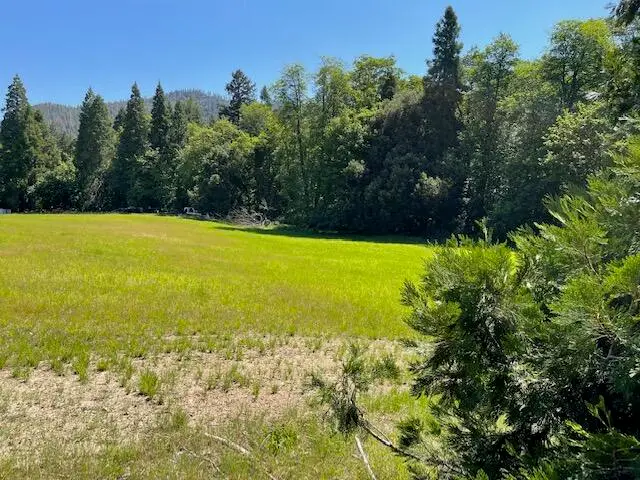 TL# 603 Thompson Creek, Applegate, OR 97530 - Image #1