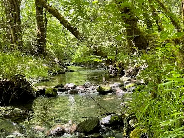 TL# 603 Thompson Creek, Applegate, OR 97530 - Image #2