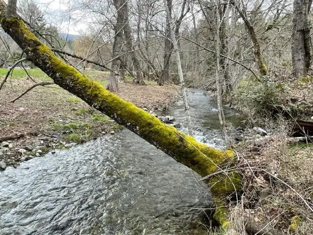 TL# 603 Thompson Creek, Applegate, OR 97530 - Image #3