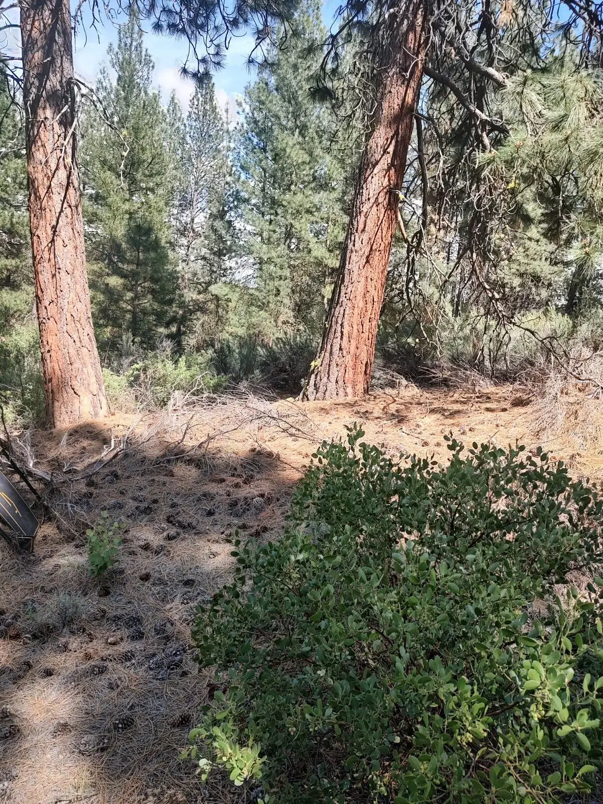 0 Stillwater Way #Lot 16, Chiloquin, OR 97624 - #1