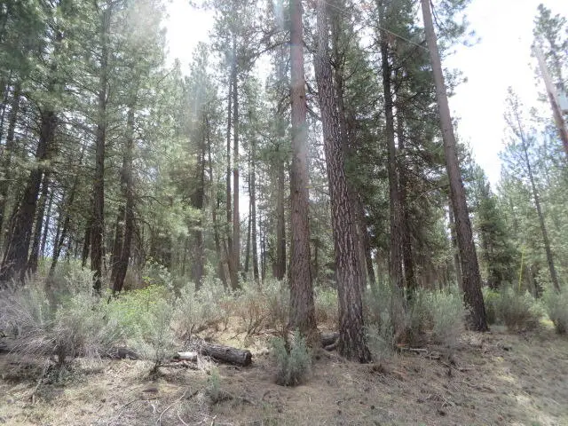 Bl 3 lot 2 Twin River, Chiloquin, OR 97624 - #1