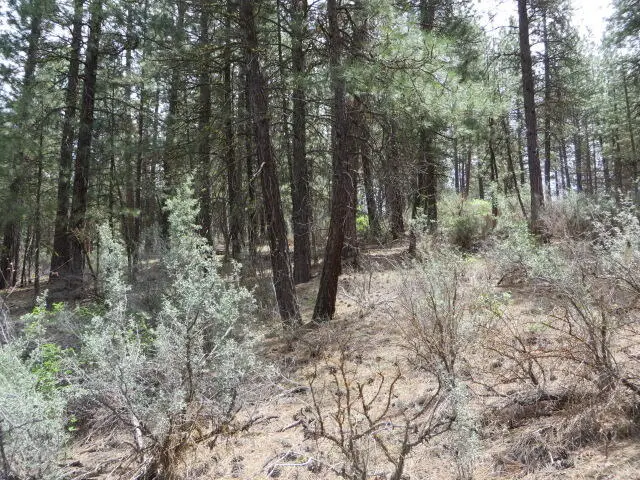 Bl 3 lot 2 Twin River, Chiloquin, OR 97624 - #3