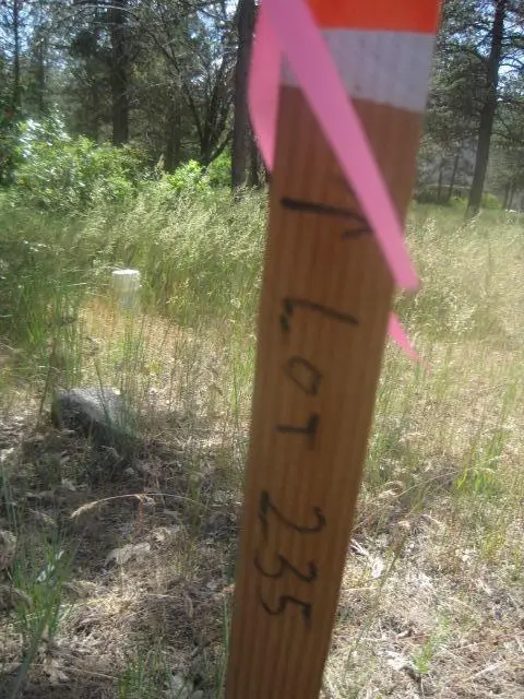 Osprey, Klamath Falls, OR 97601 - Image #2