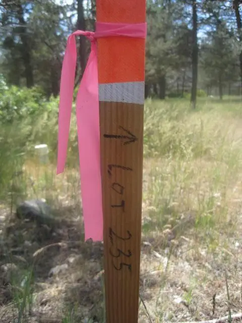 Osprey, Klamath Falls, OR 97601 - Image #3