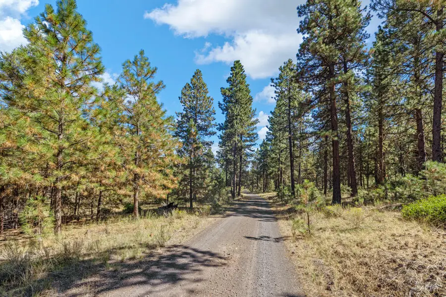 Simpson Canyon, Klamath Falls, OR 97601 - Image #2