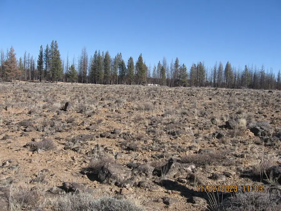 Lot 16n Shasta Fir Way, Bly, OR 97622 - Image #3