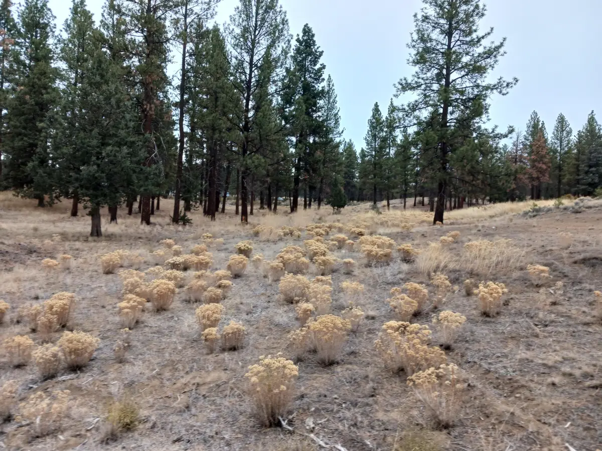 0 Arrowhead Lane #Lot 20, Chiloquin, OR 97624 - Image #1