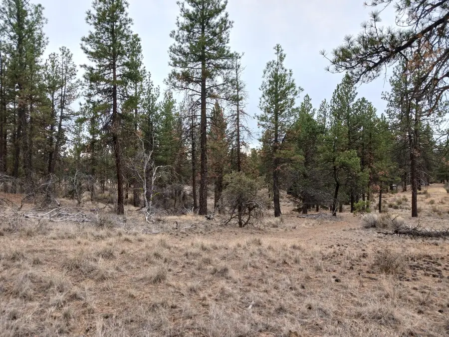 0 Arrowhead Lane #Lot 20, Chiloquin, OR 97624 - Image #2