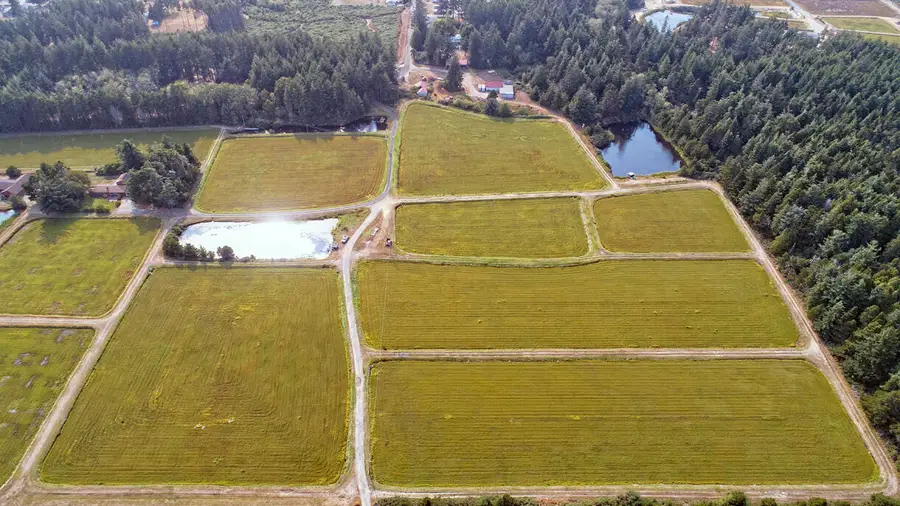 87641 E Beach Loop, Bandon, OR 97411 - Image #3