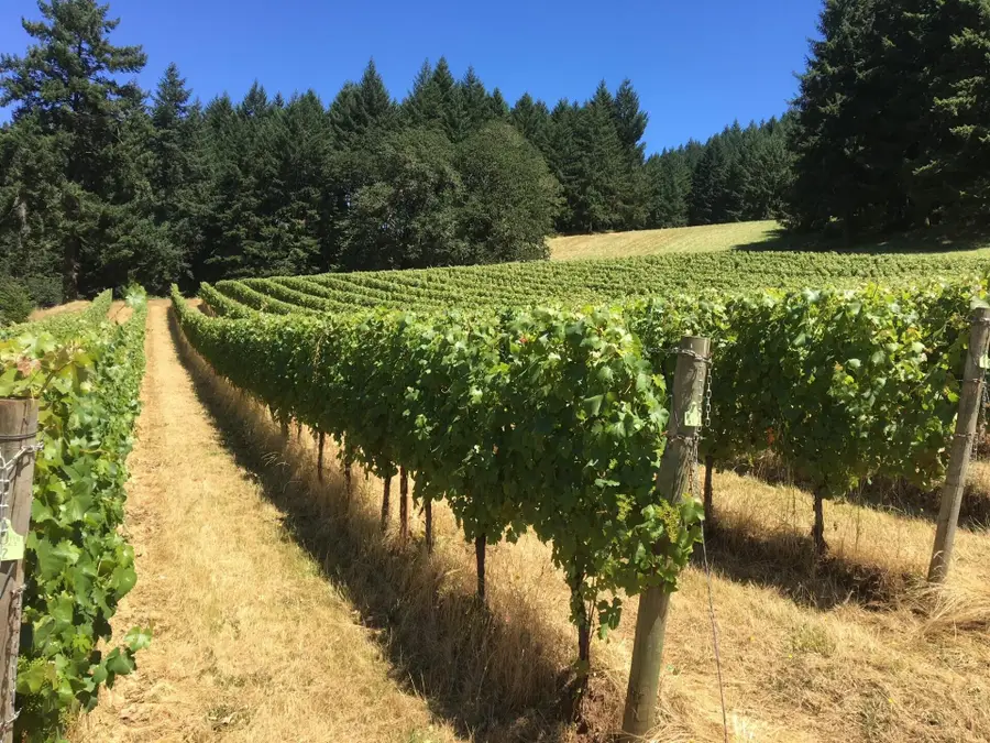 7820 SE Amity Road, Amity, OR 97101 - #3