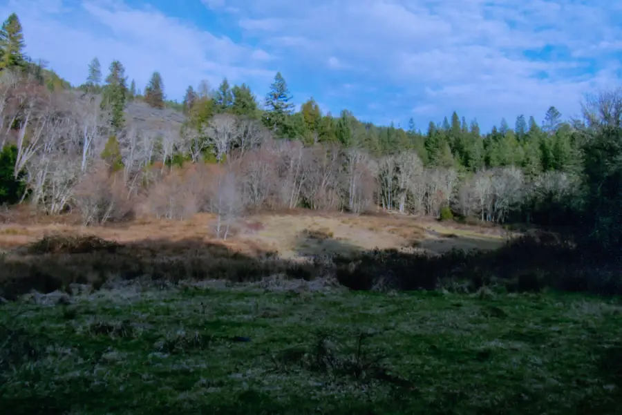 0 Cobleigh, Butte Falls, OR 97522 - Image #3