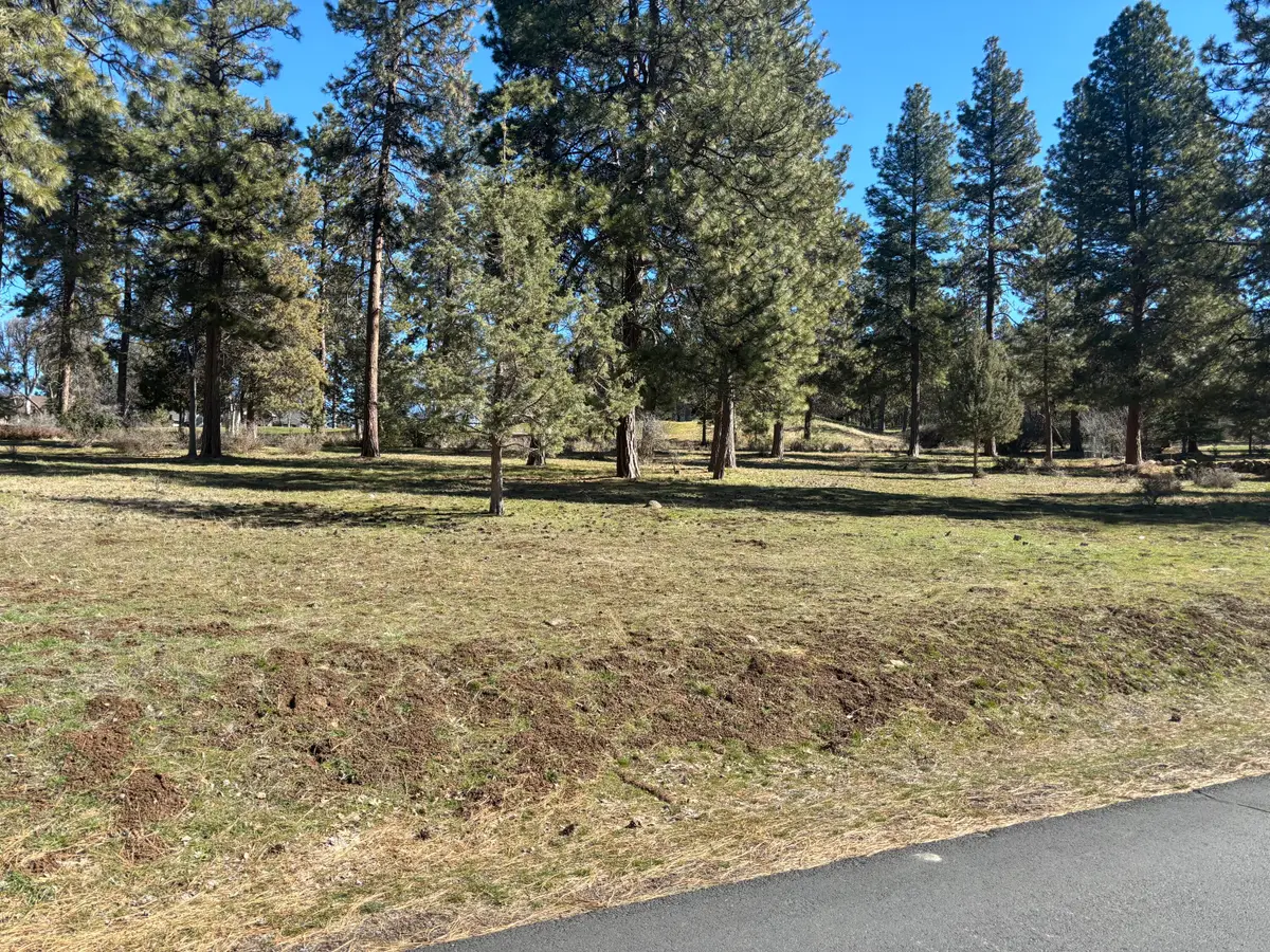 11925 Merganser Road, Klamath Falls, OR 97601 - #1