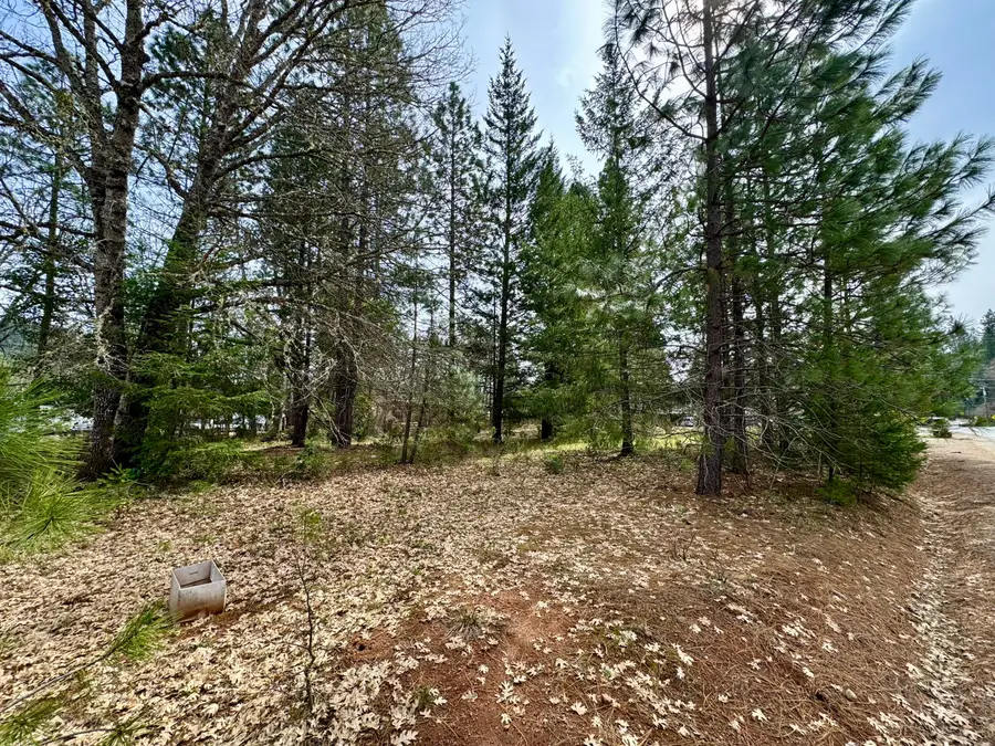 N Old Stage, Cave Junction, OR 97523 - Image #2