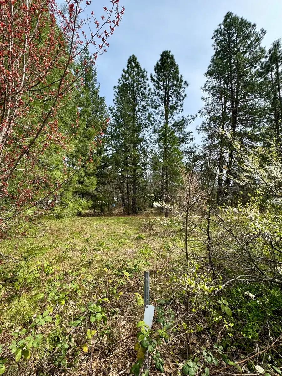 N Old Stage, Cave Junction, OR 97523 - Image #3