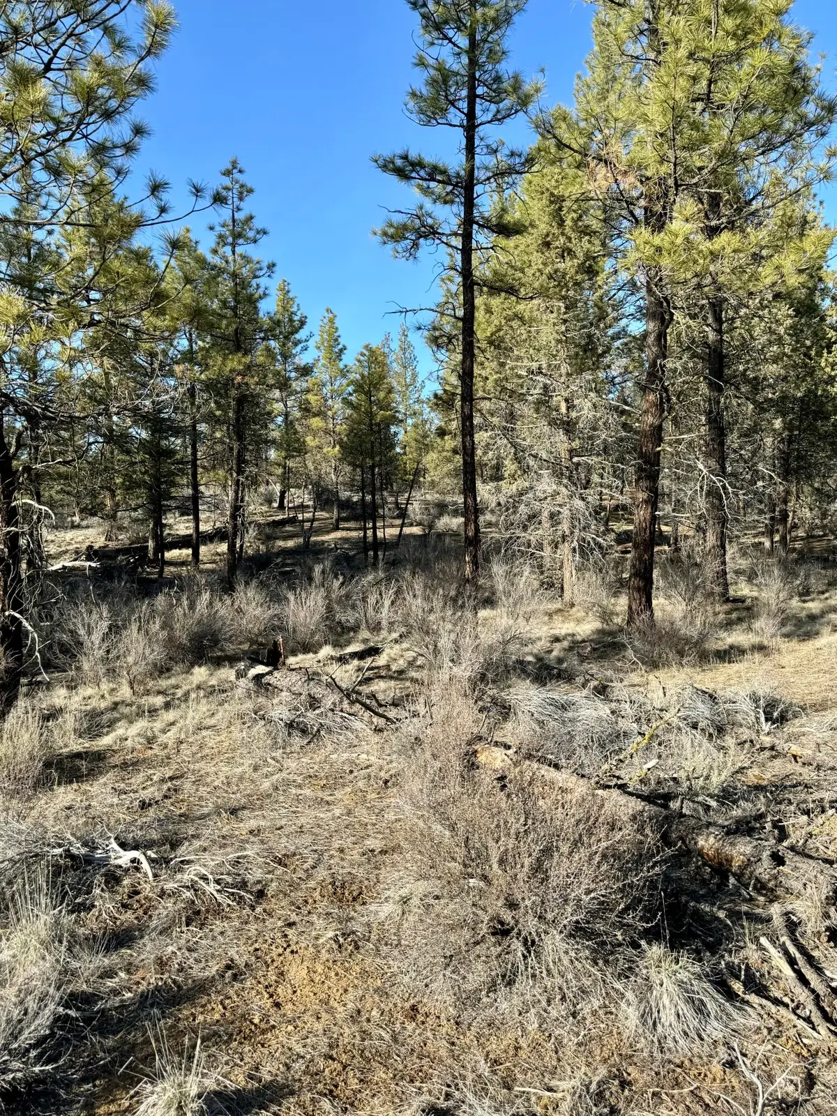 0 Tepee Lane #3000, Chiloquin, OR 97624 - Image #1