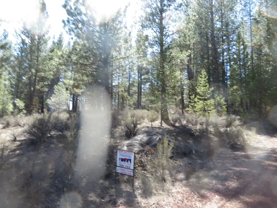 B13 L2 Kamkaun #2, Chiloquin, OR 97624 - Image #3