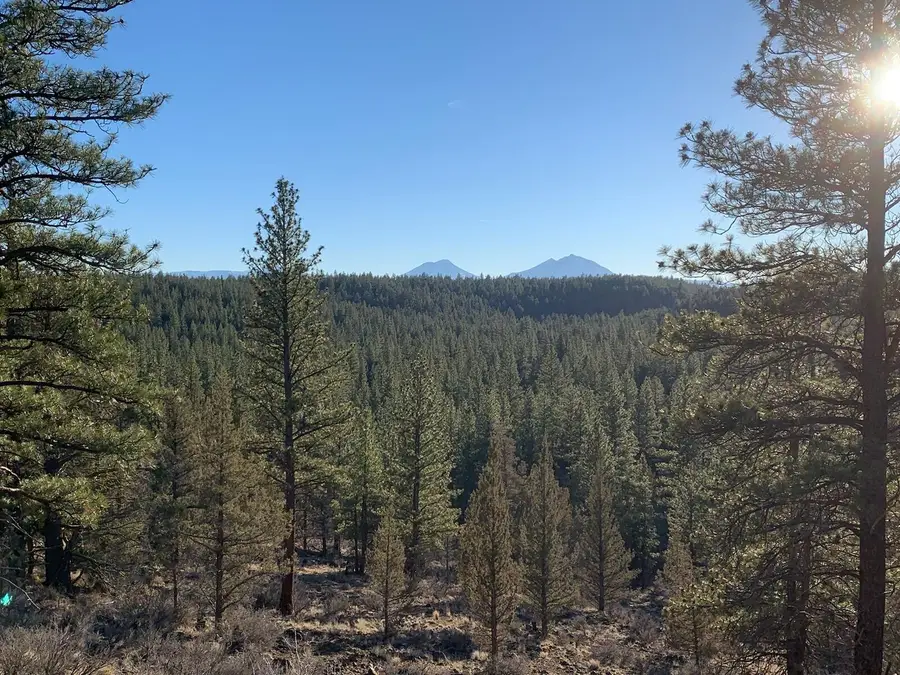 17785 Wilt, Sisters, OR 97759 - Image #2