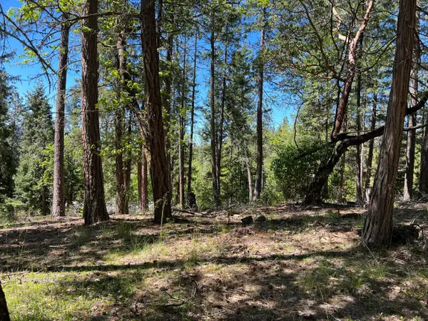 TL348 Flounce Rock, Prospect, OR 97536