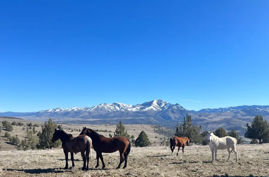 52960 Cummings Creek, Mount Vernon, OR 97865 - Image #2