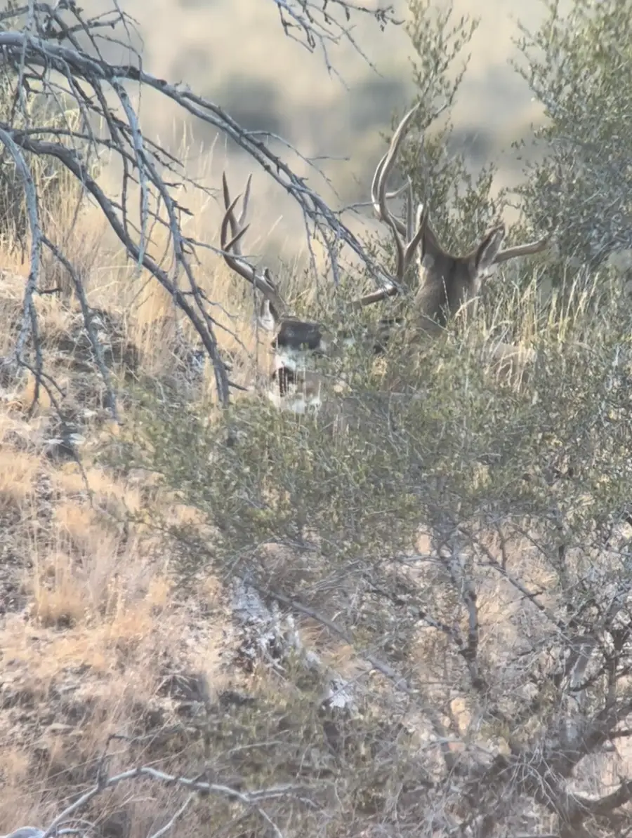 52960 Cummings Creek, Mount Vernon, OR 97865 - Image #3