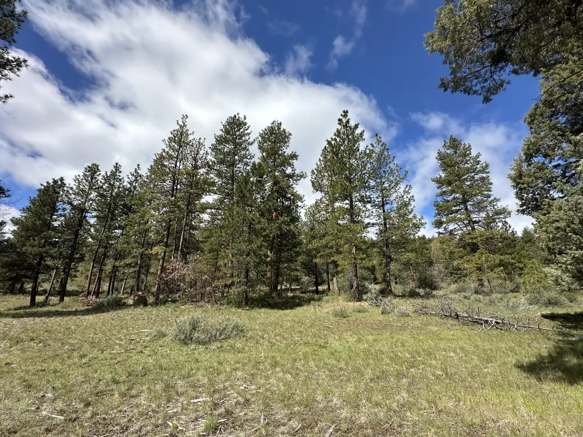 80 Acres Off Hwy 66, Klamath Falls, OR 97601 - #1