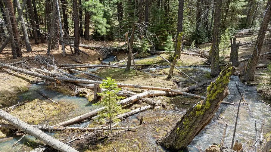 N/A Nfs 387, Lakeview, OR 97630 - Image #2