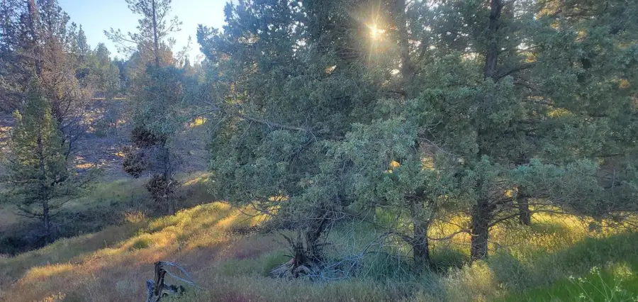 TL100 NW Huston, Prineville, OR 97754 - Image #3