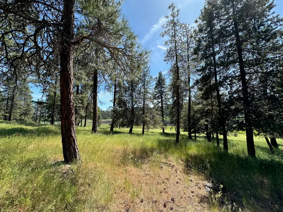 Merganser Road #107, Klamath Falls, OR 97601 - Image #3