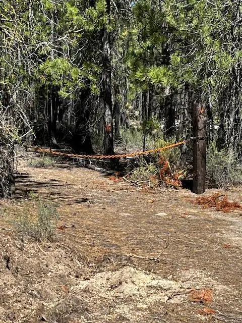 TL 2508 Schoonover 12, Crescent, OR 97733 - Image #2