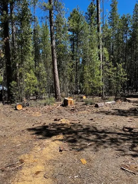 TL 2508 Schoonover 12, Crescent, OR 97733 - Image #3