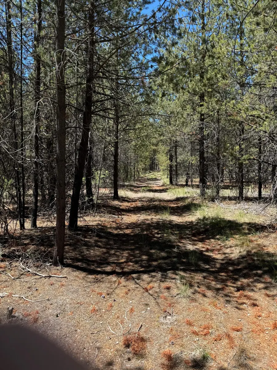 Nfd 440 Road, Chiloquin, OR 97624 - Image #2