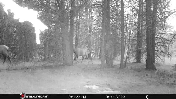 Nfd 440 Road, Chiloquin, OR 97624 - Image #3