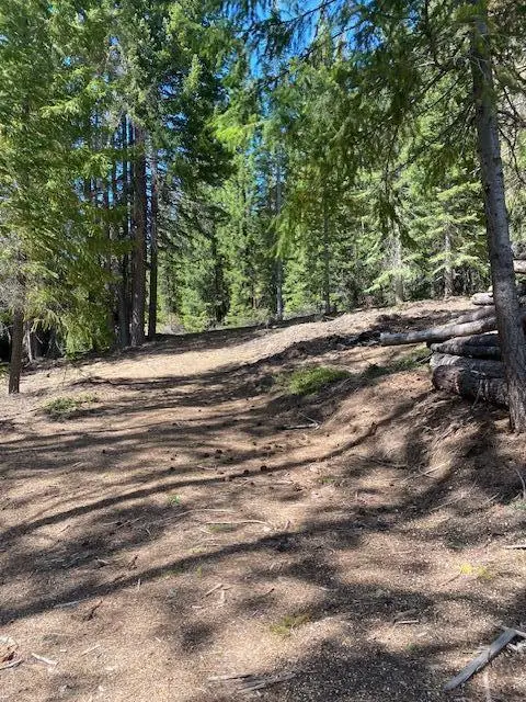 Lot 9 Diamond Peaks, Crescent Lake, OR 97733 - Image #2