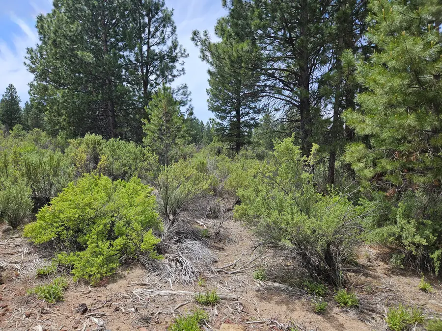 00 Pine Ridge Loop #Lot 7, Chiloquin, OR 97624 - Image #2