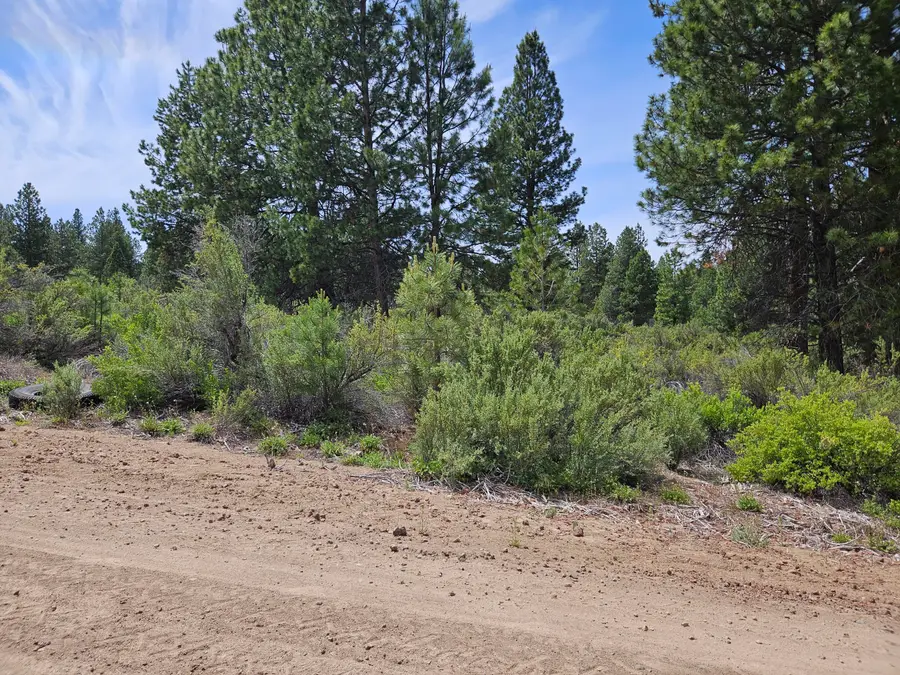 00 Pine Ridge Loop #Lot 7, Chiloquin, OR 97624 - Image #3