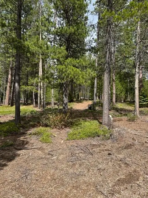 43 Clear Spring Way #43, Crescent Lake, OR 97733 - Image #2