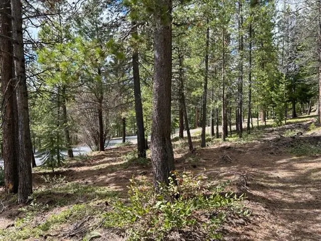 43 Clear Spring Way #43, Crescent Lake, OR 97733 - Image #3