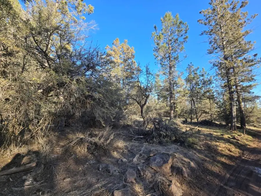 0 Night Owl Drive #26, Bonanza, OR 97623 - Image #2