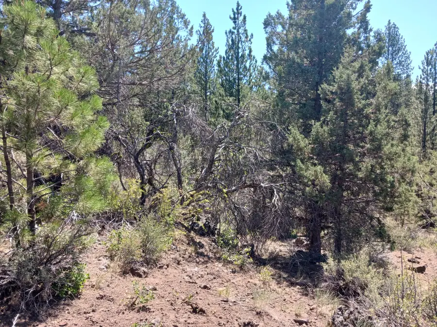 0 Oriole, Bonanza, OR 97623 - Image #3