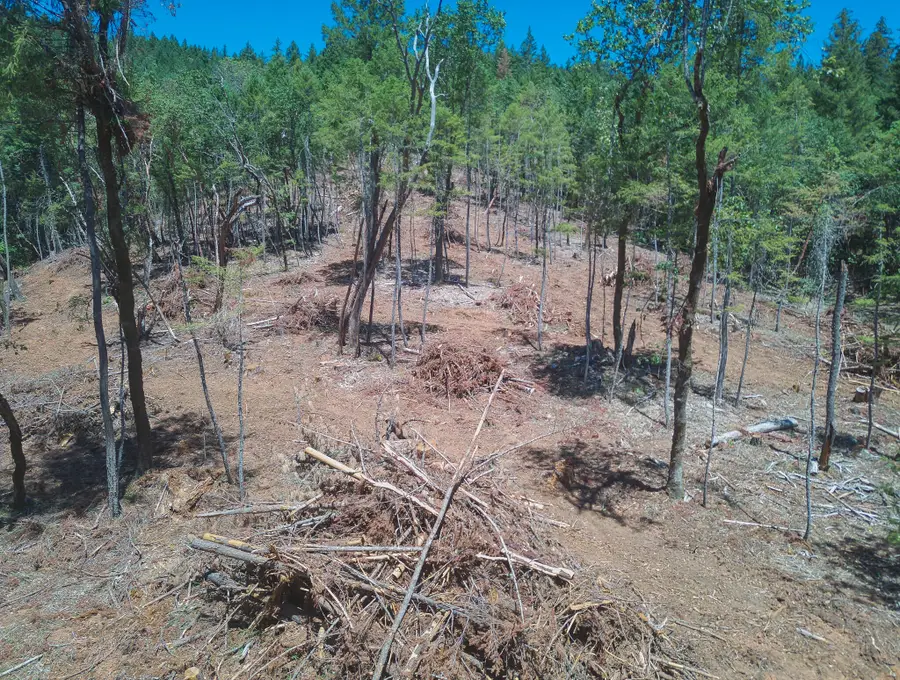 222 Thornridge, Merlin, OR 97532 - Image #3